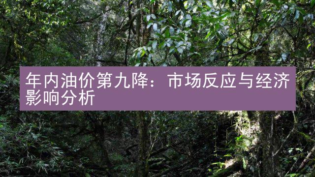 年内油价第九降：市场反应与经济影响分析